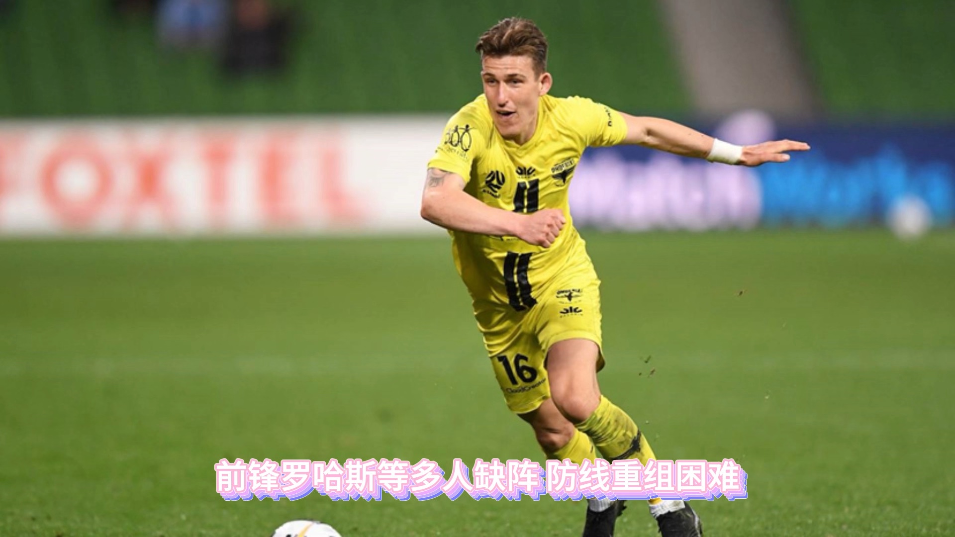 aoa体育培训-鹿岛鹿角赛前发布会：全队信心满满迎战西悉尼流浪者的简单介绍