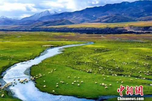 aoa体育培训-关于青海源富阵容齐整，期待在球场上展现风采的信息