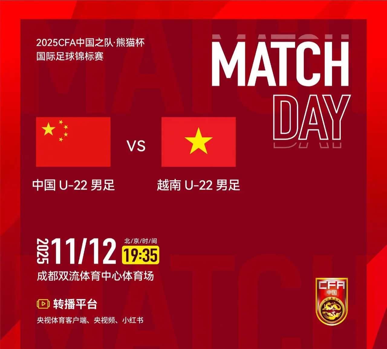 越南代表团在国际足球赛事中展现实力 越南代表团在国际足球赛事中展现实力